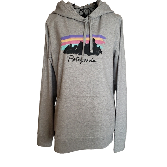 Patagonia Tops - 🔥Patagonia Organic Cotton Hoodie
